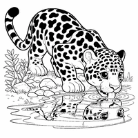 Coloriage Jaguar curieux près de l'eau | Toupty.com