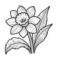 Coloriage Jonquille Simple avec trois Feuilles | Toupty.com