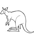 kangourou esquisse gratuit a colorier