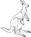 kangourou dessin pour imprimer et colorier