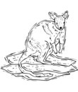 kangourou crocquis imprimer et colorier