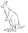 dessin kangourou noir et blanc a colorier
