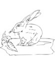 dessin lapin pour coloriage