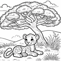 Coloriage Léopard dans la savane | Toupty.com