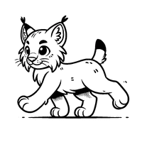 Coloriage Petit Lynx Marchant d'un pas léger | Toupty.com