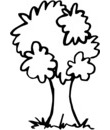 dessin d'arbre simple pour maternelle