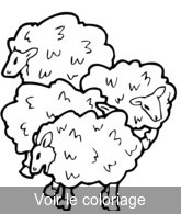 Coloriage Un troupeau de moutons | Toupty.com