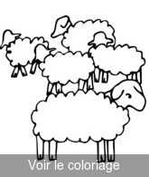 Coloriage le troupeau de moutons | Toupty.com