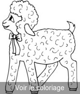 Coloriage Mouton avec noeud papillon | Toupty.com