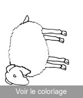 Coloriage Mouton gris | Toupty.com