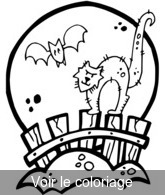 Coloriage chat et chauve souris dans la nuit | Toupty.com