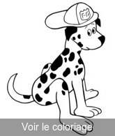 Coloriage chien de pompier| Toupty.com