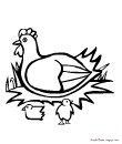 une poule et ses deux poussins