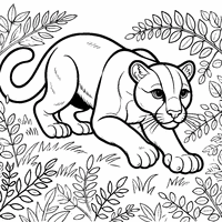 Coloriage Puma à l'affut | Toupty.com