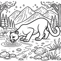 Coloriage Puma qui s'abreuve dans rivière | Toupty.com