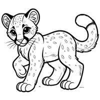 Coloriage Puma adolescent | Toupty.com