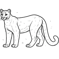 Coloriage Puma adulte | Toupty.com