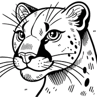 Coloriage Tête de puma | Toupty.com