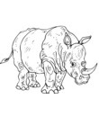 rhinoceros clip art a imprimer & colorier