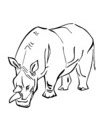 image rhinoceros pour colorier