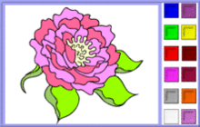 coloriages de fleurs rose